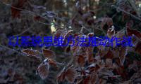 以系统思维方法推动作战理论研究
